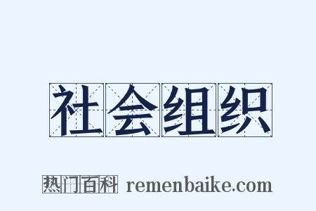 社会组织是什么意思的图片